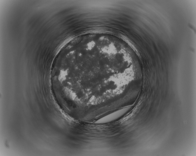 X0000096480853200802211212