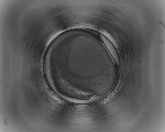 X0000096480854200802211212