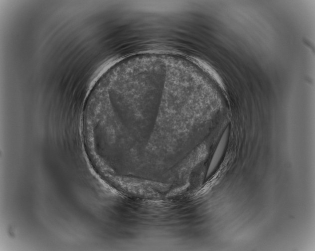 X0000096480855200802211212