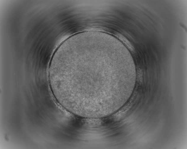 X0000096480856200802211212