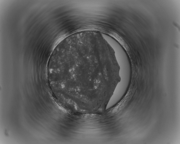 X0000096480858200802211212