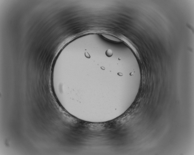 X0000096480861200802211212