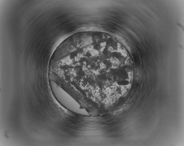 X0000096480863200802211212