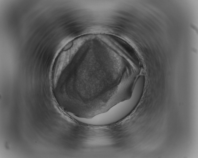 X0000096480864200802211212