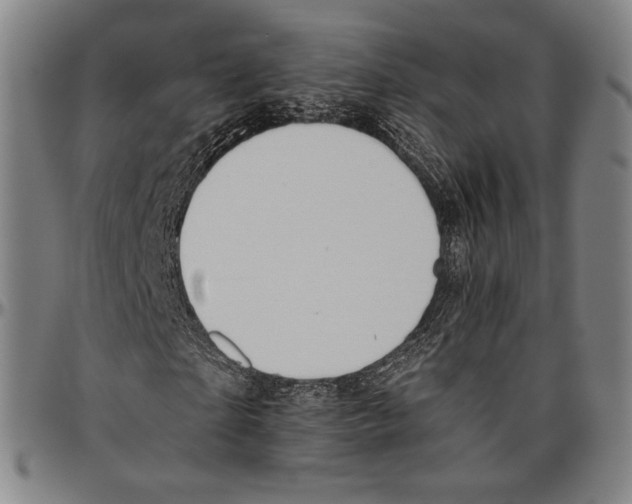 X0000096480865200802211212