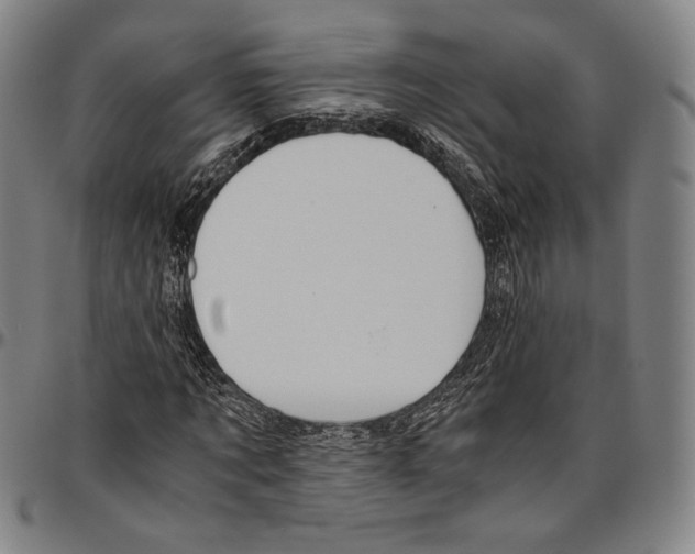 X0000096480869200802211212