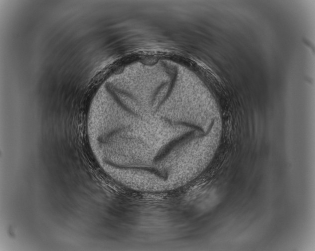 X0000096480870200802211212