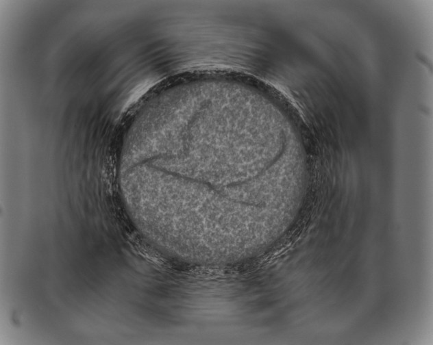 X0000096480871200802211212