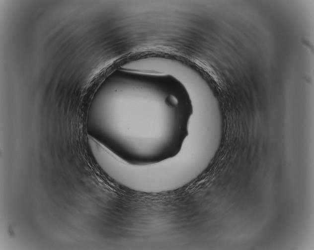 X0000096480872200802211212