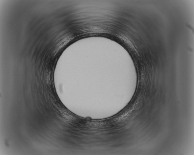 X0000096480873200802211212