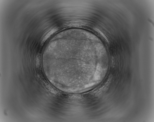 X0000096480874200802211212