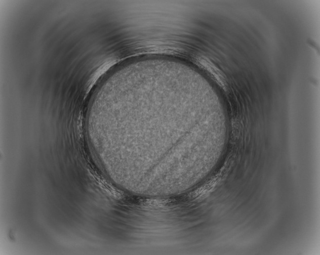 X0000096480875200802211212