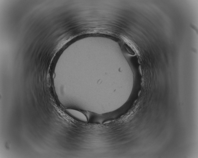 X0000096480876200802211212