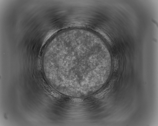 X0000096480878200802211212