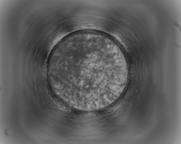 X0000096480879200802211212