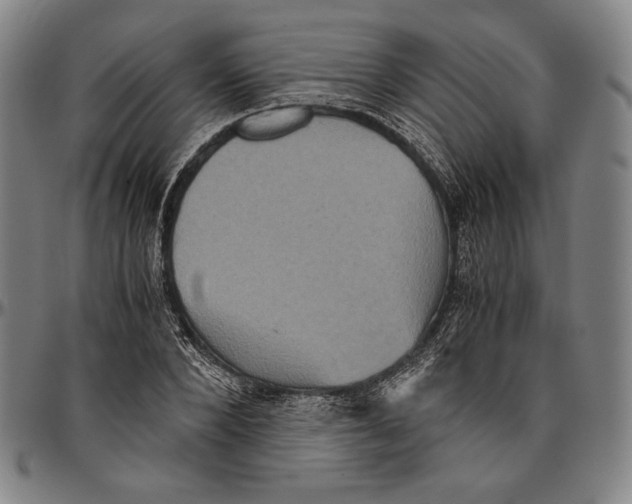 X0000096480880200802211211