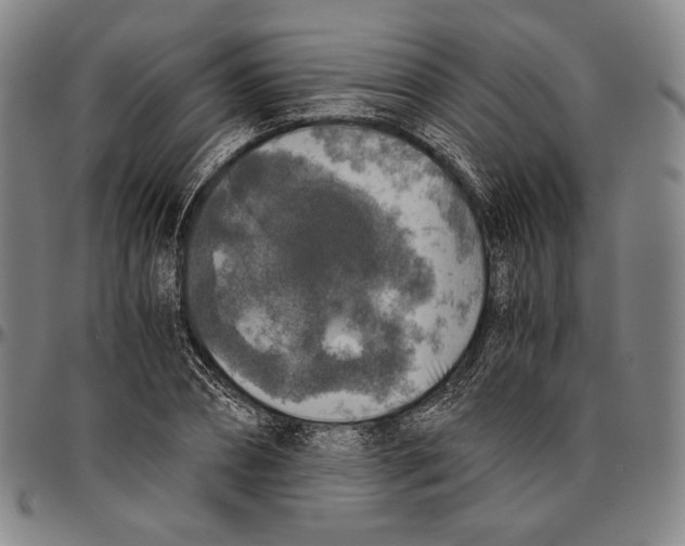 X0000096480882200802211211