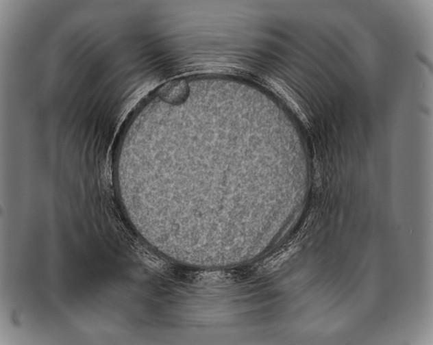 X0000096480883200802211211