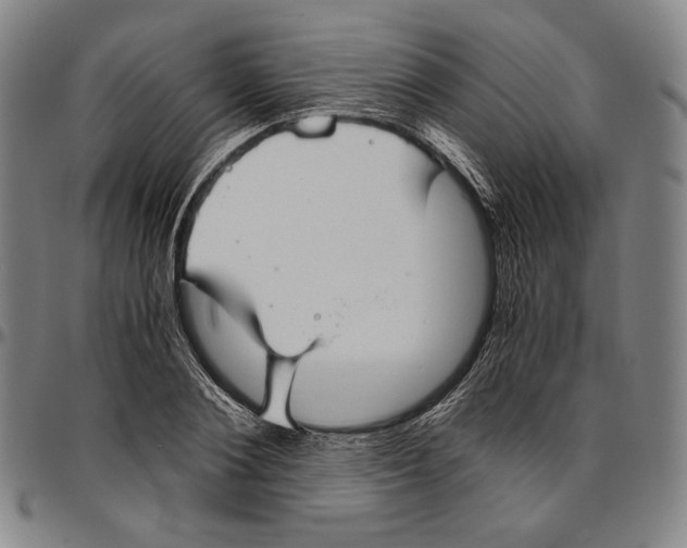 X0000096480884200802211211