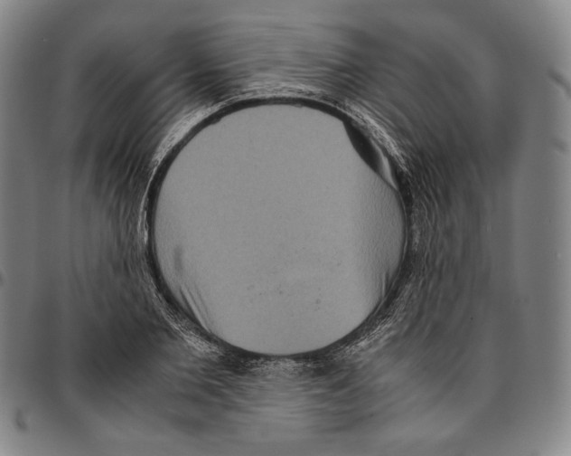 X0000096480885200802211211