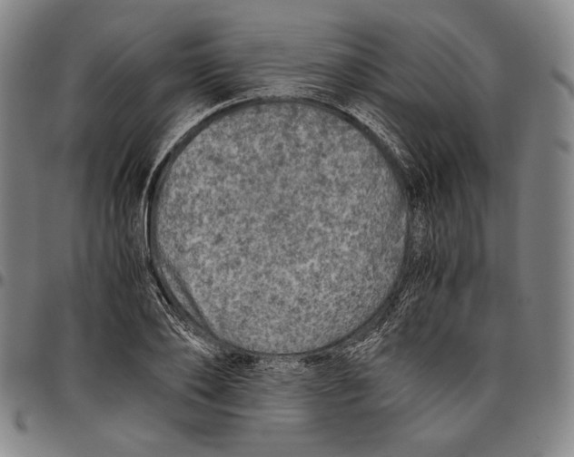 X0000096480886200802211211
