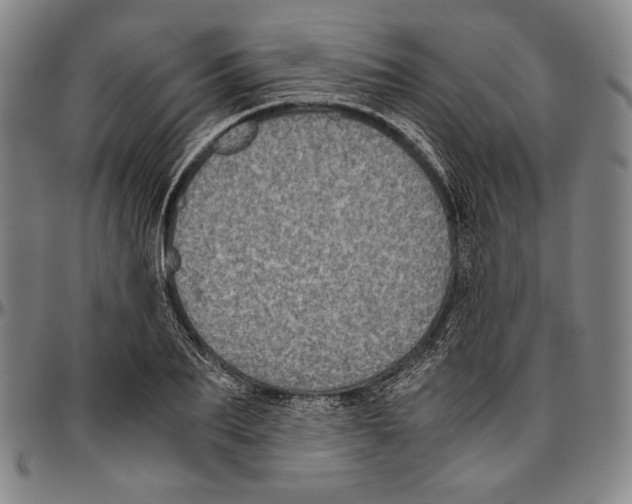 X0000096480887200802211211