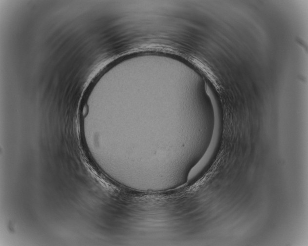 X0000096480888200802211211