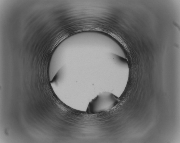 X0000096480889200802211211