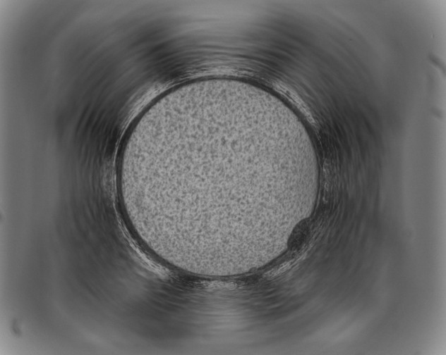 X0000096480890200802211211
