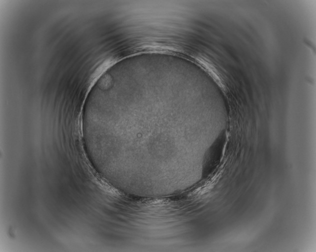 X0000096480891200802211211