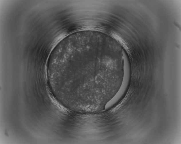 X0000096480892200802211211