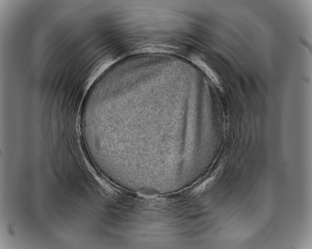 X0000096480893200802211211