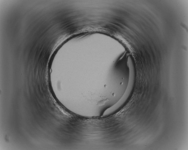 X0000096480894200802211211