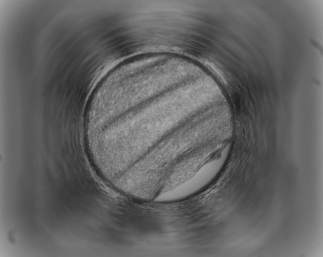X0000096480895200802211211