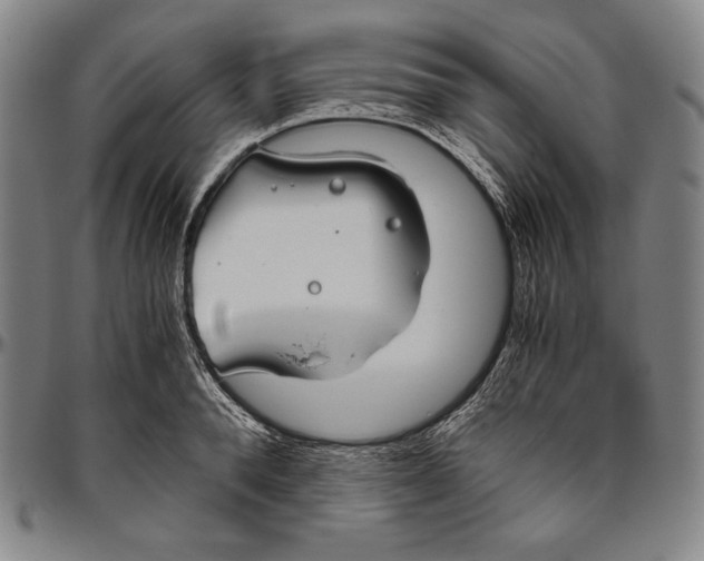 X0000096480896200802211211