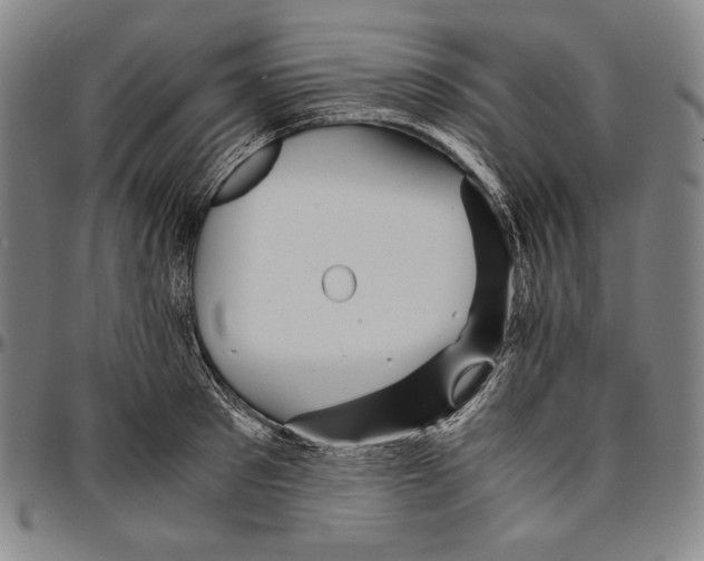 X0000096480897200802211211