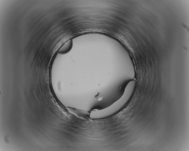 X0000096480898200802211211