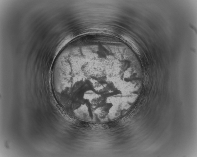 X0000096480899200802211211