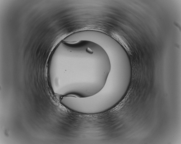 X0000096480900200802211211