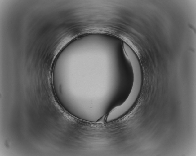 X0000096480901200802211211