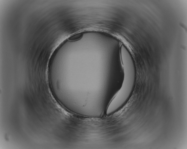 X0000096480902200802211211