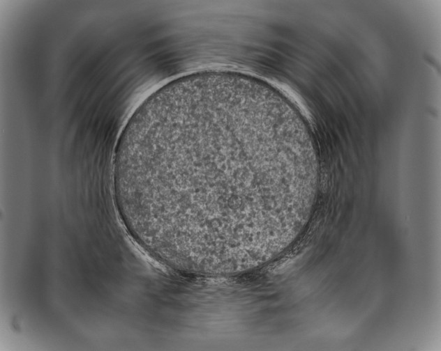 X0000096480903200802211211