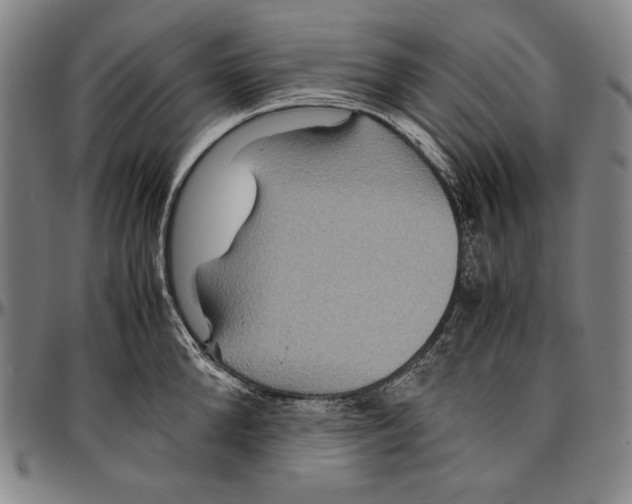 X0000096480904200802211211
