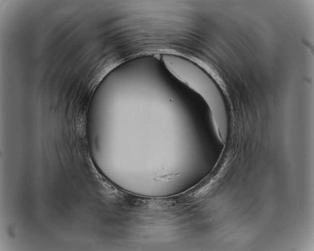 X0000096480905200802211211