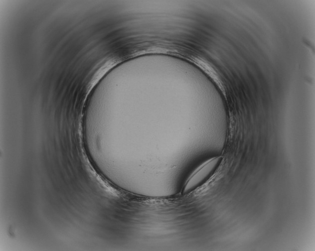 X0000096480906200802211211