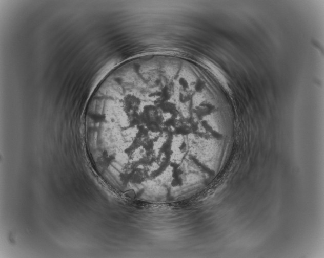 X0000096480907200802211211