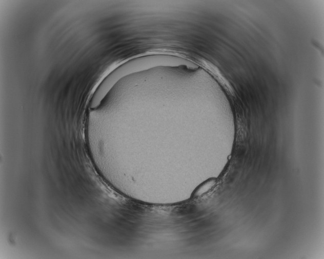 X0000096480908200802211211