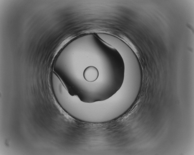 X0000096480909200802211211