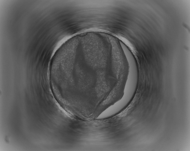 X0000096480910200802211211