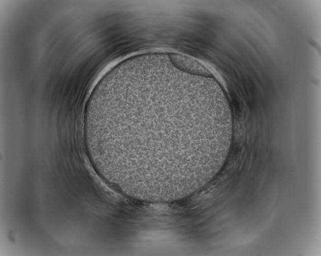 X0000096480911200802211211